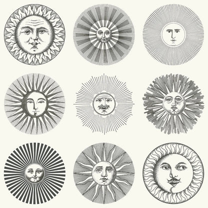 SOLI - FORNASETTI (54,80 €/m2 - prezzo al rullo)