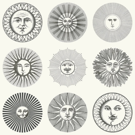 SOLI - FORNASETTI (54,80 €/m2 - prezzo al rullo)