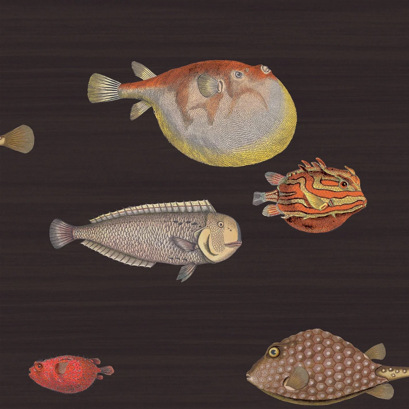 ACQUARIO - FORNASETTI(48,55 €/m2 - prezzo al rullo)