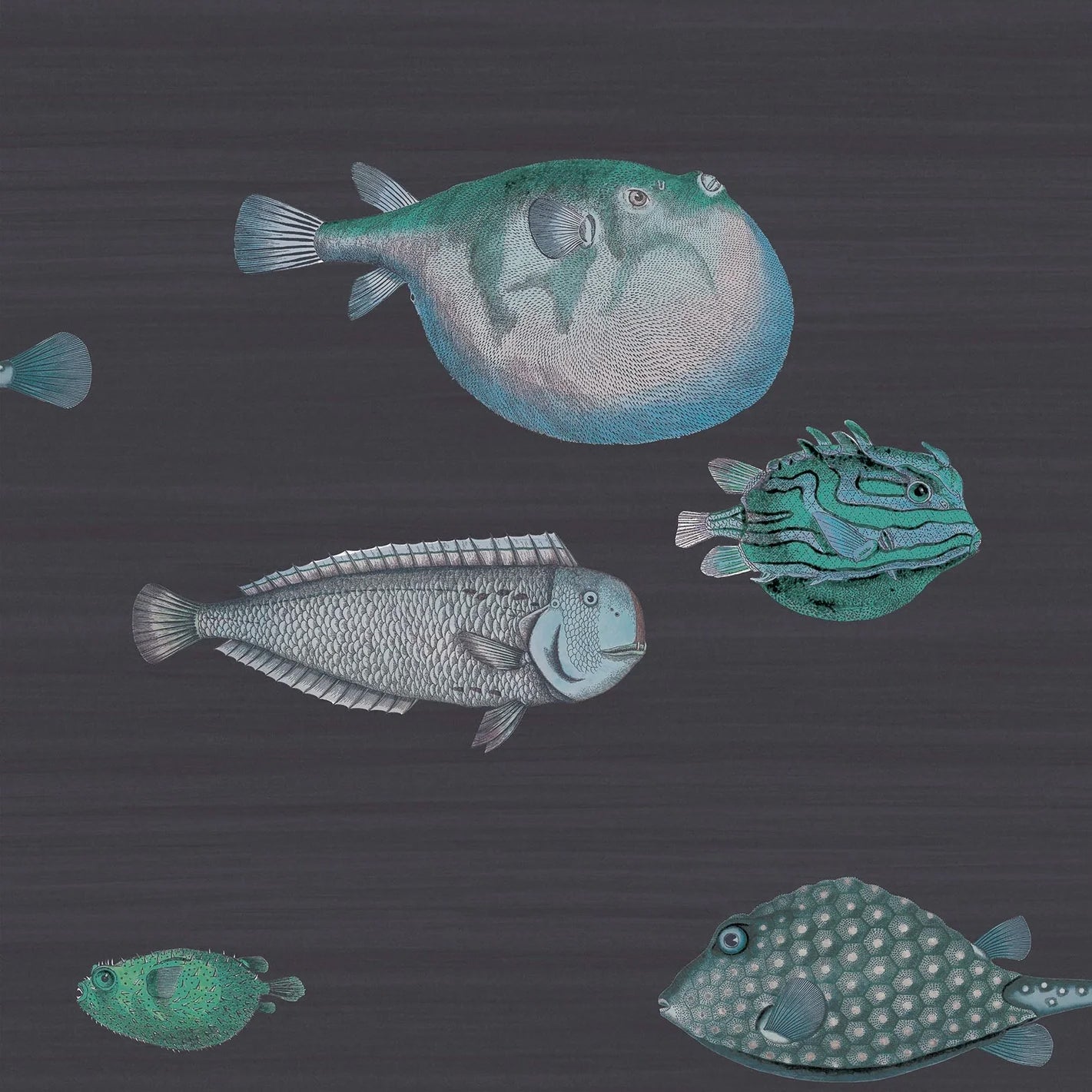 ACQUARIO - FORNASETTI(48,55 €/m2 - prezzo al rullo)