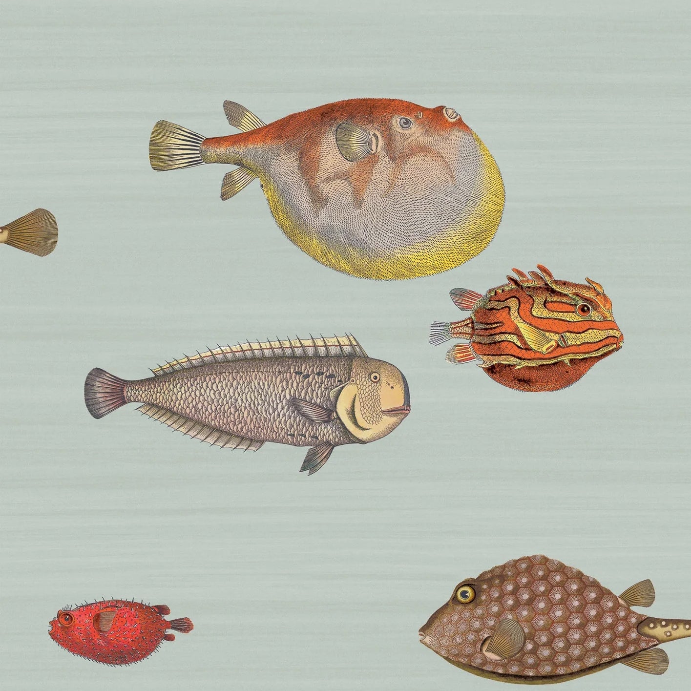 ACQUARIO - FORNASETTI(48,55 €/m2 - prezzo al rullo)
