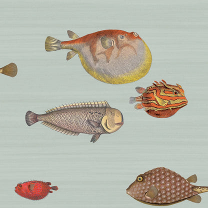 ACQUARIO - FORNASETTI(48,55 €/m2 - prezzo al rullo)