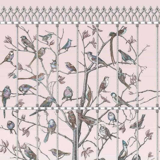 UCCELLI - FORNASETTI