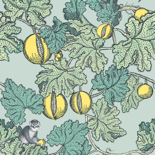 FRUTTO PROIBITO - FORNASETTI  (46.15 €/m2 - prezzo al rullo)