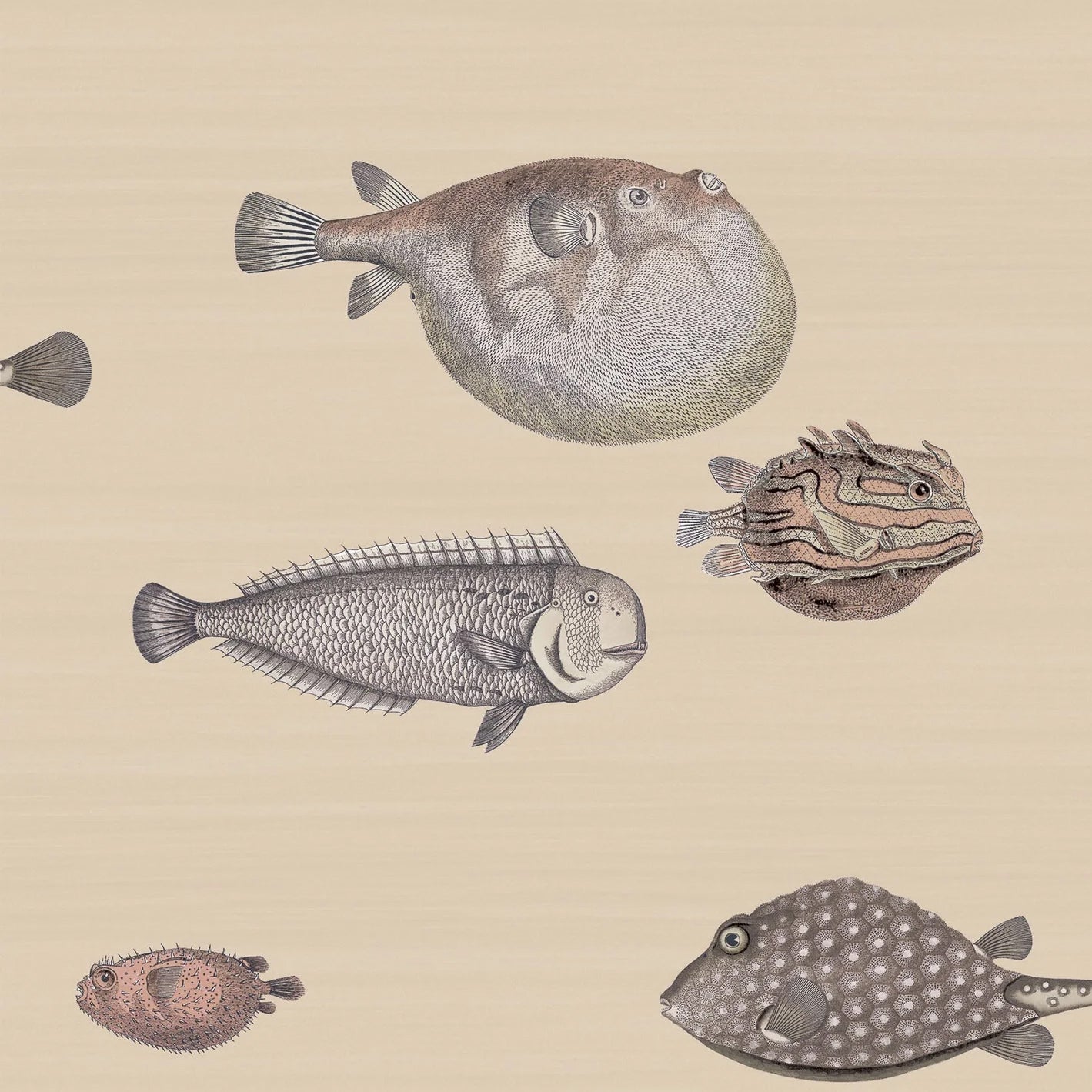 ACQUARIO - FORNASETTI(48,55 €/m2 - prezzo al rullo)
