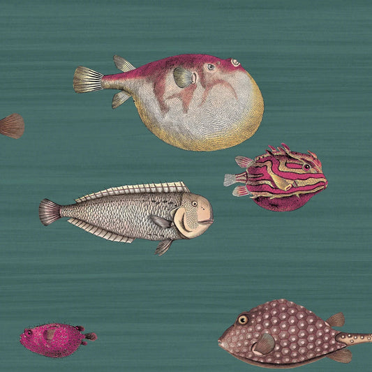 ACQUARIO - FORNASETTI(48,55 €/m2 - prezzo al rullo)