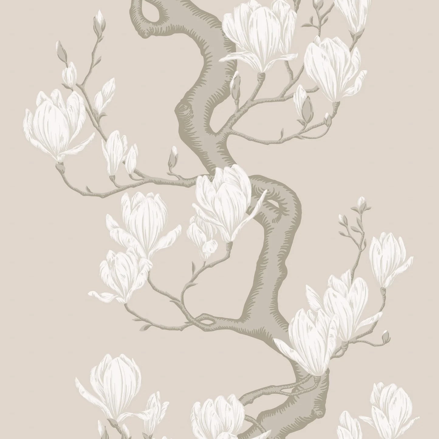 ALBERO DI MAGNOLIA  (36,55 €/m2 - prezzo al rullo)