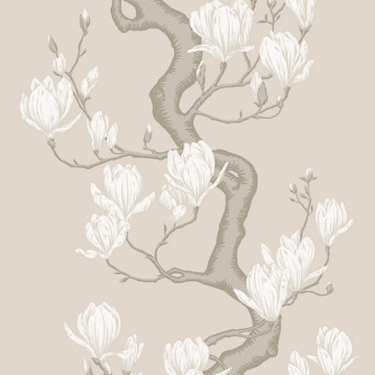 ALBERO DI MAGNOLIA  (36,55 €/m2 - prezzo al rullo)