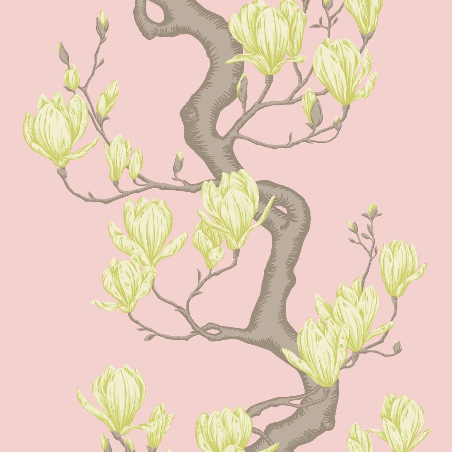 ALBERO DI MAGNOLIA  (36,55 €/m2 - prezzo al rullo)