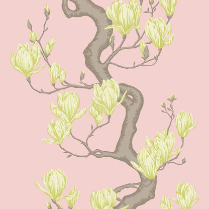 ALBERO DI MAGNOLIA  (36,55 €/m2 - prezzo al rullo)