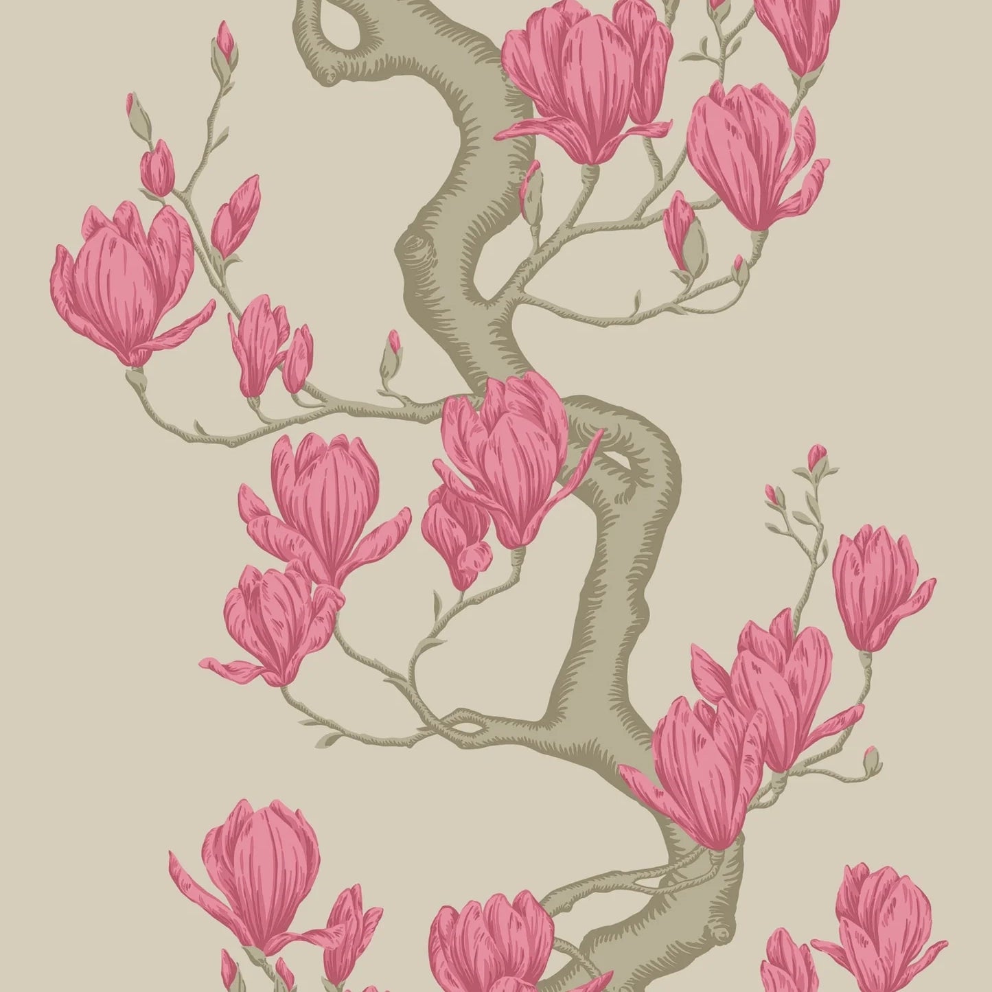 ALBERO DI MAGNOLIA  (36,55 €/m2 - prezzo al rullo)